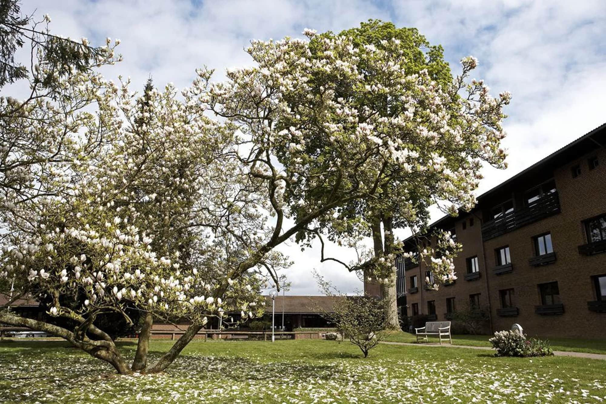 Munkebjerg Hotel Vejle Exterior foto